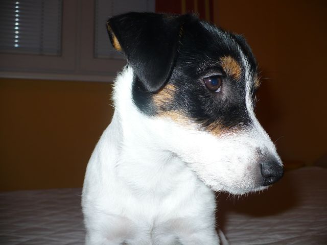 Aiwen október 2009 II - anjelik.jpg