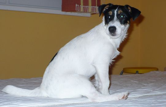 To je môj oblúbený posed.jpg